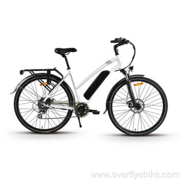 XY-PASSION Electric trekking bike